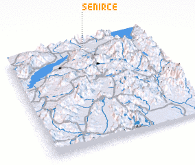 3d view of Senirce