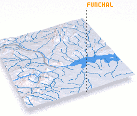 3d view of Funchal