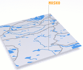 3d view of Musko