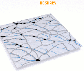 3d view of Koshary