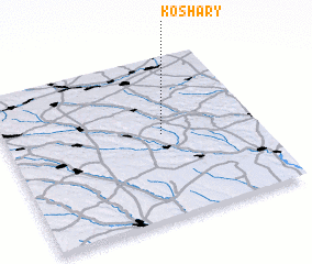 3d view of Koshary