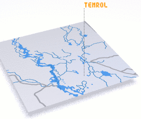 3d view of Temrol