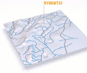 3d view of Nyakatsi