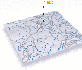 3d view of Dibwa