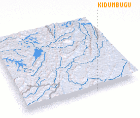 3d view of Kidumbugu