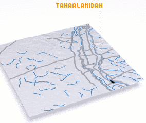 3d view of Ţāḩā al A‘midah