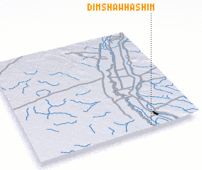 3d view of Dimshāw Hāshim