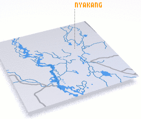 3d view of Nyakang