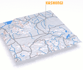 3d view of Kashongi