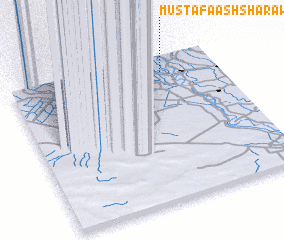 3d view of Muşţafá ash Sha‘rāwī