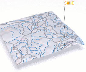 3d view of Sake