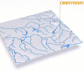3d view of Chibuye Kofi