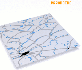 3d view of Paporotno