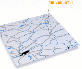 3d view of Shlyakhotki