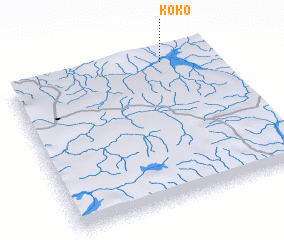 3d view of Koko