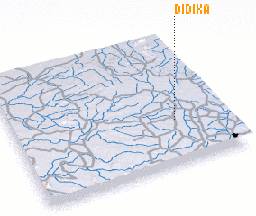 3d view of Didika