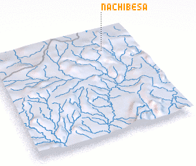 3d view of Nachibesa