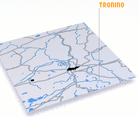 3d view of Tronino