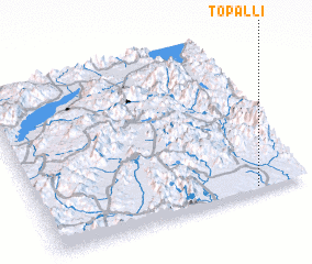 3d view of Topallı