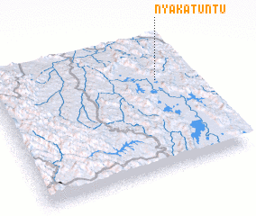 3d view of Nyakatuntu