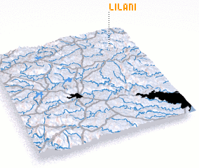 3d view of Lilani