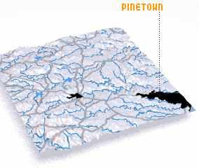 3d view of Pinetown
