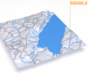 3d view of Ngogole