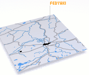 3d view of Fedyaki