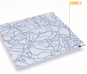 3d view of Simbli