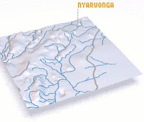 3d view of Nyaruonga