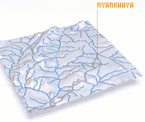 3d view of Nyankwaya