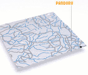 3d view of Panduru