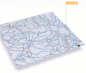 3d view of Arara