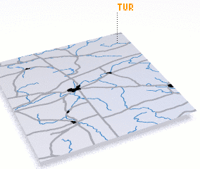 3d view of Tur