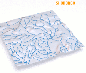 3d view of Shonongo