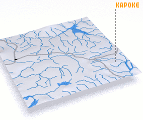 3d view of Kapoke