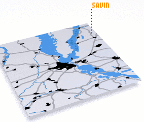 3d view of Savin