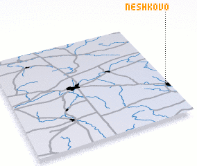 3d view of Neshkovo