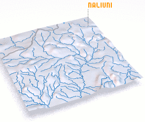 3d view of Naliuni