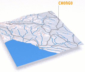 3d view of Chongo