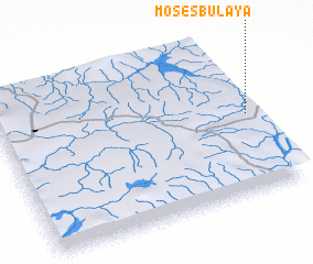 3d view of Moses Bulaya