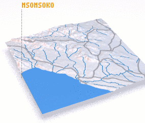 3d view of Msomsoko