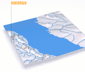 3d view of Kikongo