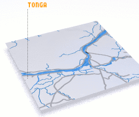 3d view of Tonga