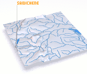 3d view of Saidi Chene