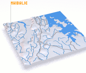 3d view of Mwibalie