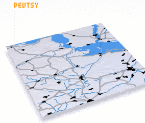 3d view of Pevtsy