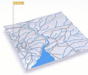 3d view of Okomi