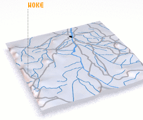 3d view of Woke