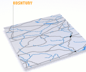 3d view of Koshtuny